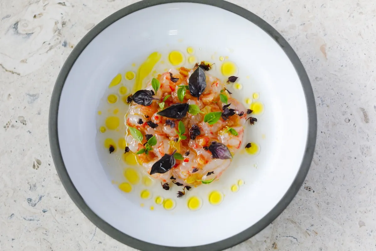 Shrimp crudo with olive oil and herbs